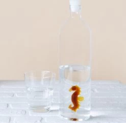 Balvi Waterfles - Zeepaard 10 Balvi Waterfles - Zeepaard -Keuken Verkoop 1200x1178 1