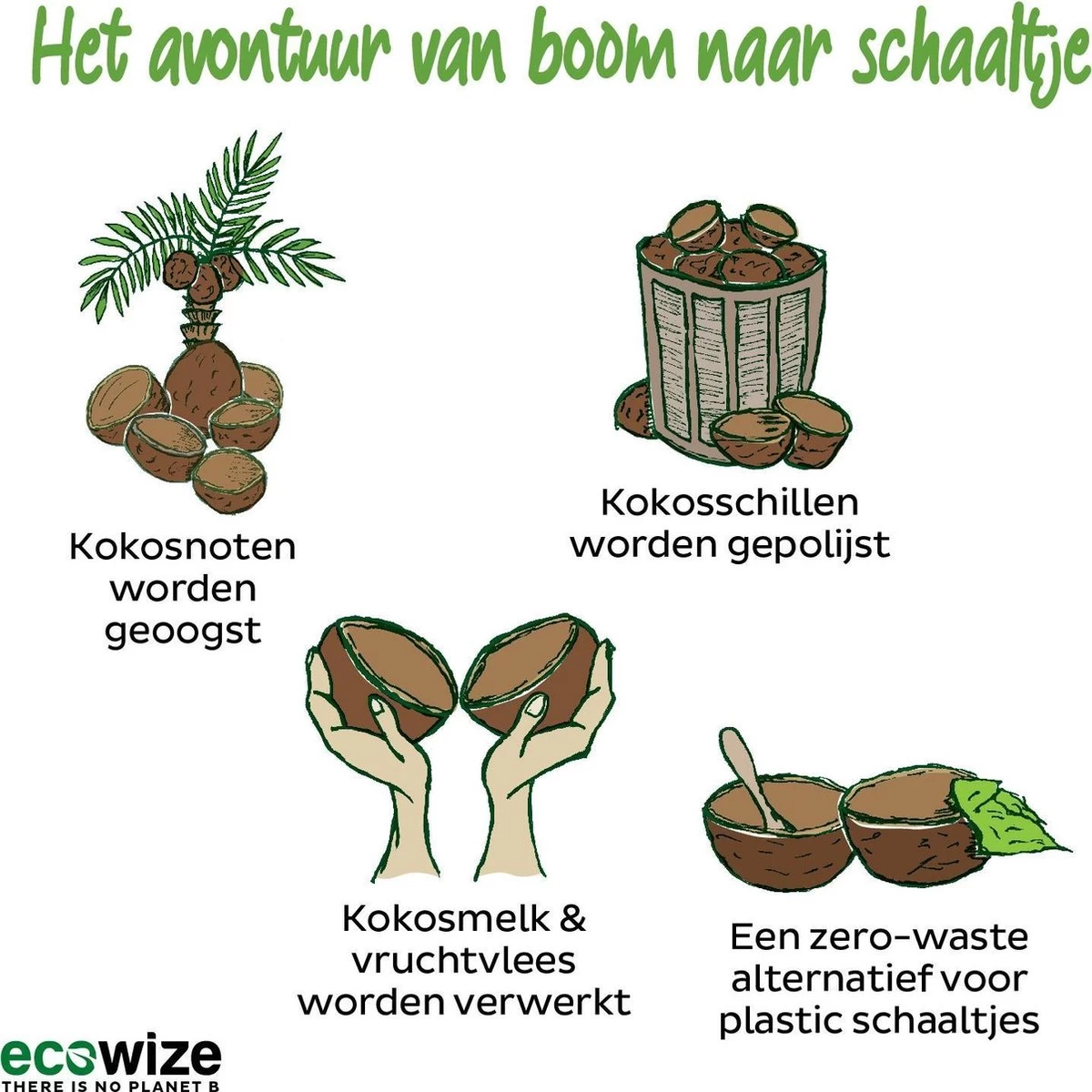 Ecowize Coconut Bowls (Set Van 3) - Kokosnoot Kom & Schaal - Met 3 Lepels, 3 Vorken En 8 Bamboe Rietjes - Zero Waste & Herbruikbaar - Duurzaam Cadeau 4 Ecowize Coconut Bowls (Set Van 3) - Kokosnoot Kom & Schaal - Met 3 Lepels, 3 Vorken En 8 Bamboe Rietjes - Zero Waste & Herbruikbaar - Duurzaam Cadeau - Afbeelding 2