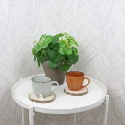 OTIX Koffiekopjes - Met Oor - Set Van 4 - Verschillende Kleuren - Aardewerk - 250 Ml -Keuken Verkoop 1200x1200 1424