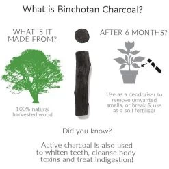 Black + Blum Binchotan Active Charcoal For Eau Good Water Bottles 4-pack -Keuken Verkoop 1200x1200 957