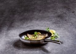 BK Allround Koekenpan Ø 24 Cm - Inductie - PFAS-vrij -Keuken Verkoop 1200x851 1