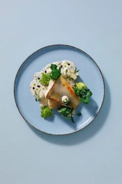 Palmer Serviesset Antigo Porselein 6-persoons 24-delig Lichtblauw 17 Palmer Serviesset Antigo Porselein 6-persoons 24-delig Lichtblauw -Keuken Verkoop 800x1200 51